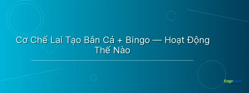 Cơ Chế Lai Tạo Bắn Cá + Bingo — Hoạt Động Thế Nào Cơ Chế Lai Tạo Bắn Cá + Bingo — Hoạt Động Thế Nào - bắn cá bingo topbet