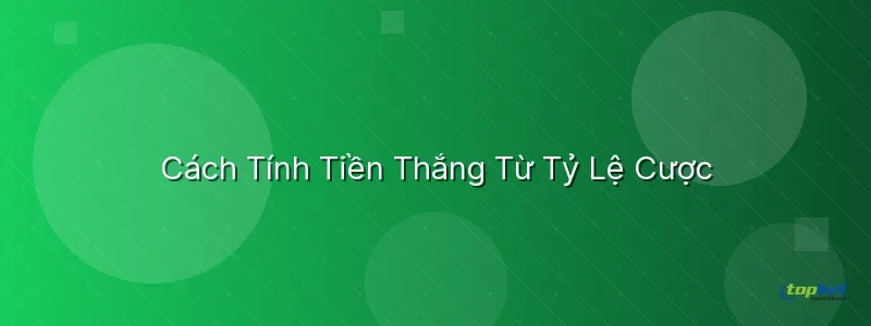 Cách Tính Tiền Thắng Từ Tỷ Lệ Cược - tỷ lệ cược bóng đá