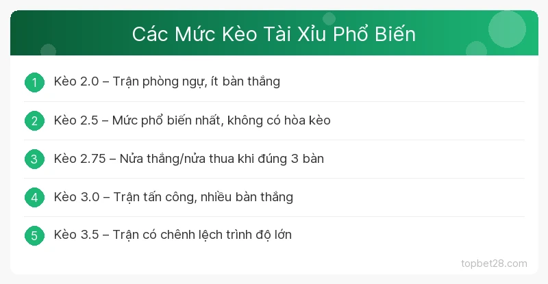 Các Mức Kèo Tài Xỉu Phổ Biến TopBet