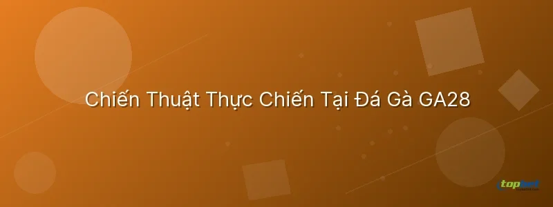 đá gà ga28 topbet – Chiến Thuật Thực Chiến Tại Đá Gà GA28